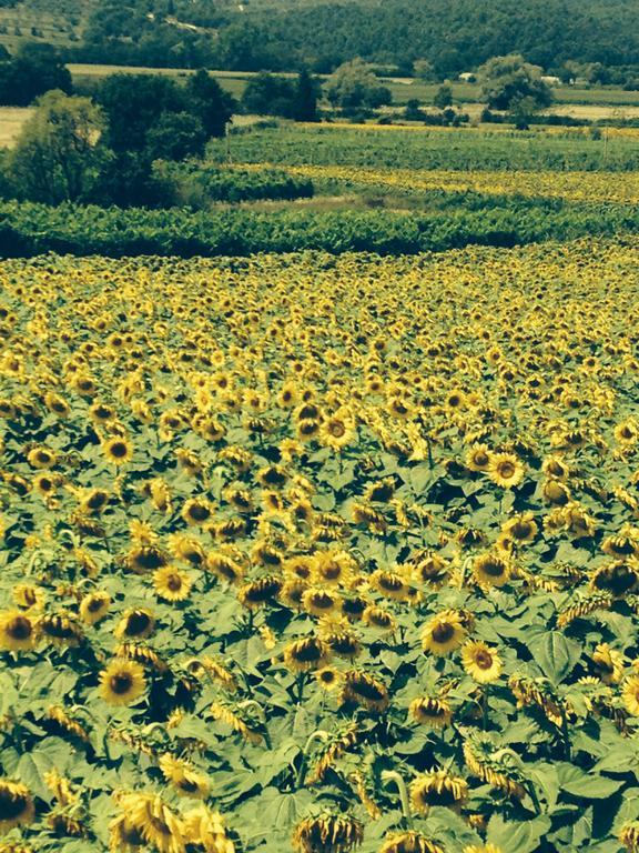 Tre Girasoli Монте Сан Савино Стая снимка
